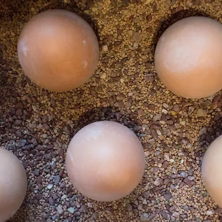 Kontaktlos Am Kappelberg Kontaktlos 3* فيلباخ